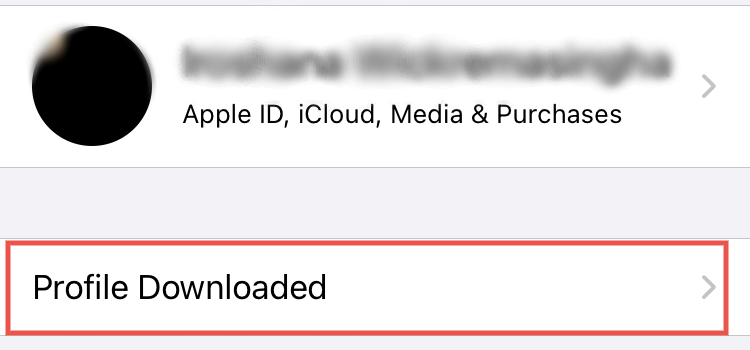 Profile Downloaded in iPhone Settings